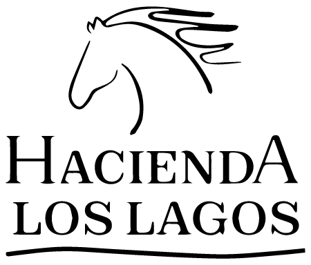 Logo Los Lagos